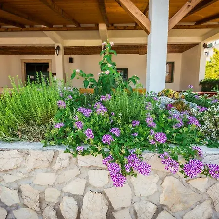 Apartmán Galeb Blace