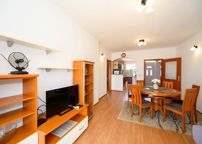 Galeb 公寓 布拉采